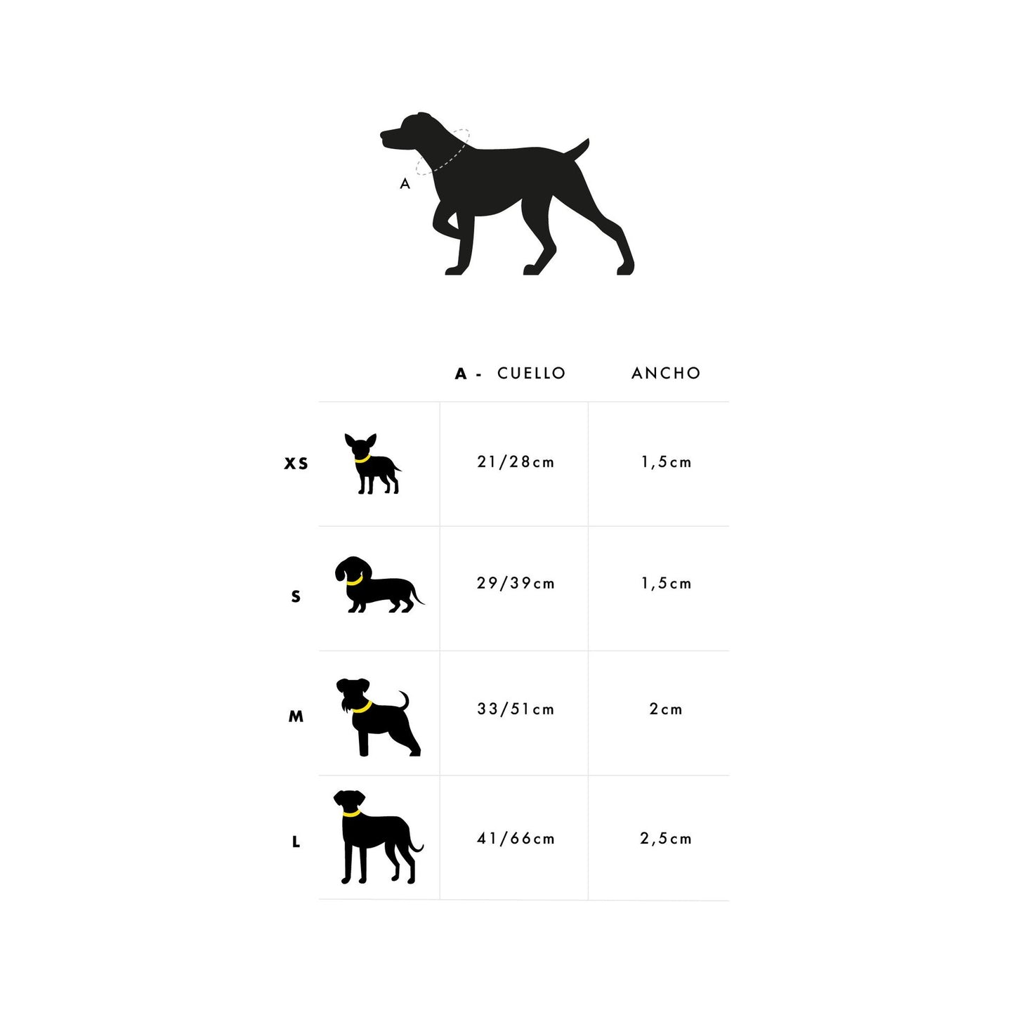 Collar para perro CAMO Dukier