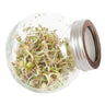 Tarro para germinados Eurogarden