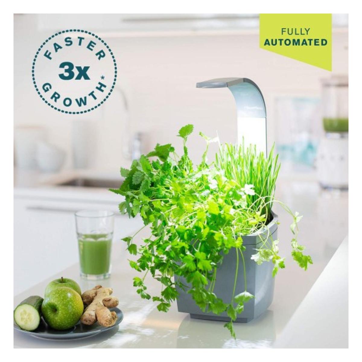 Maceta autocultivo T3 Kitchen Garden 20 x 17,5 cm