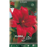Bulbo Lilium asiatic rojo 20 uds