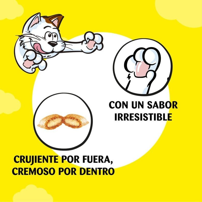 Catisfactions Premios con pollo para gatos 60 g