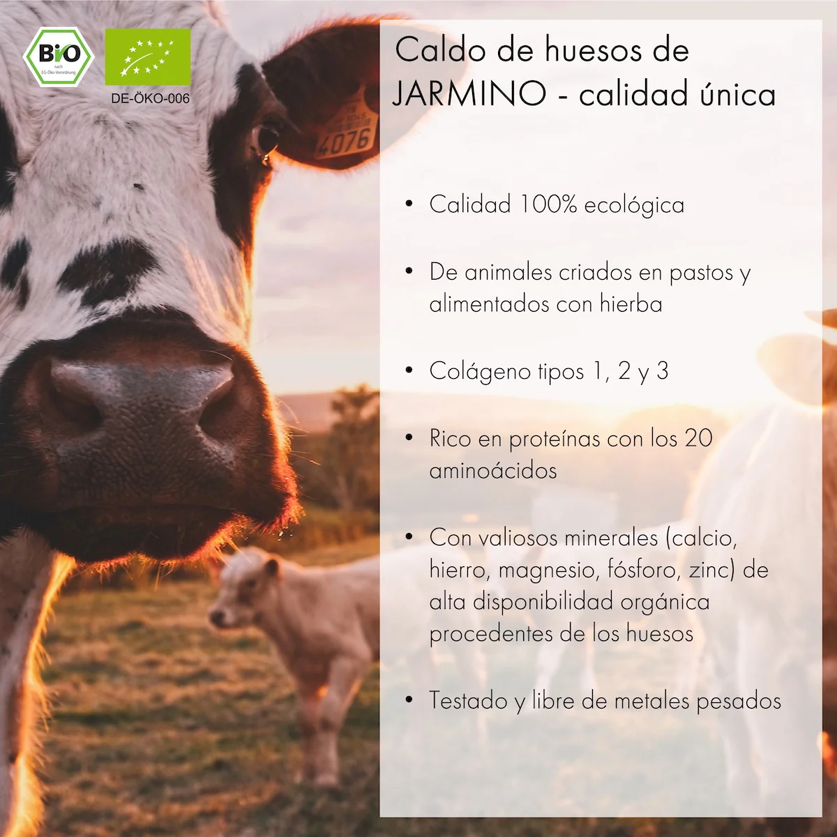 Caldo de Huesos de Ternera Jarmino 350ml