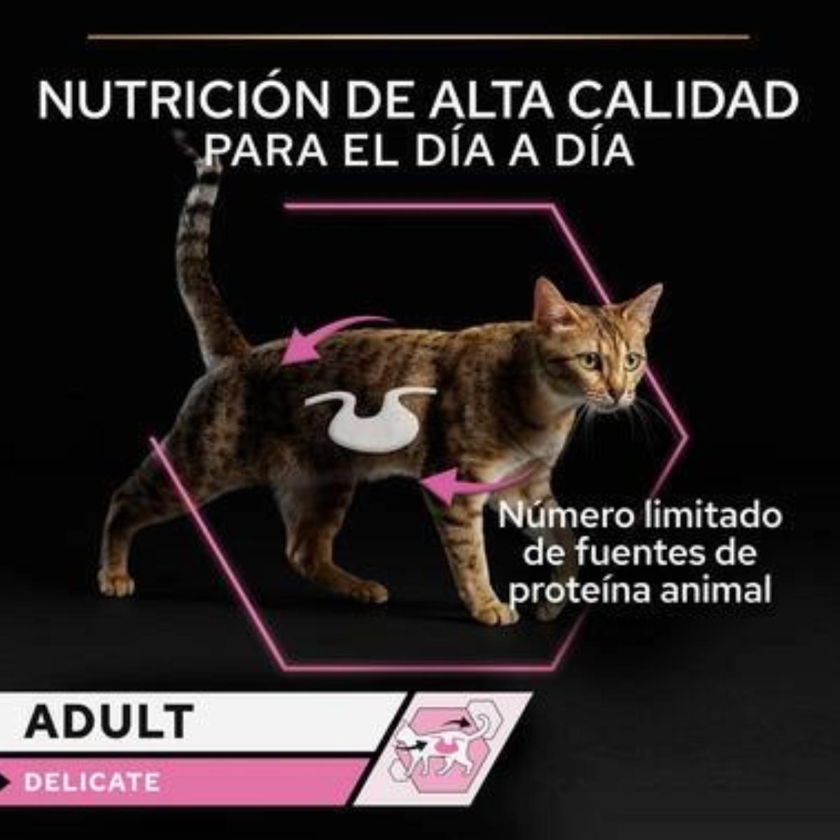 Pro Plan gato lata adulto Delicate Mousse rico en pavo Purina 85g