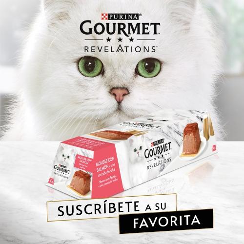 Pack 6 x GOURMET REVELATIONS Mousse Salmon (4x57g)