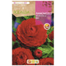 Bulbo Ranúnculo Francesilla rojo 10 uds Rocalba