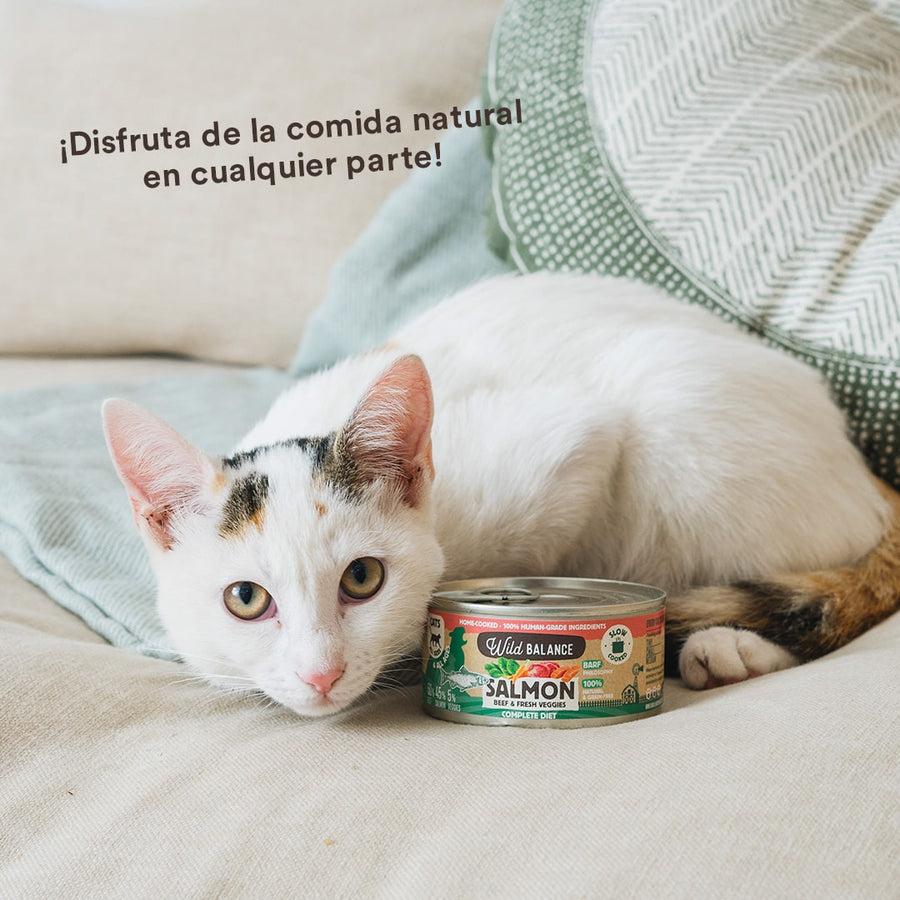 Pack Lata de Salmón y Ternera BARF para gatos 6x120 g Wild Balance
