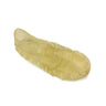 Snack para perros zapatilla de piel Grande Arquivet 20cm 10 uds