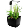 Maceta autocultivo T3 Kitchen Garden 20 x 17,5 cm