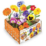 Huerto Premium Flores Comestibles Batlle