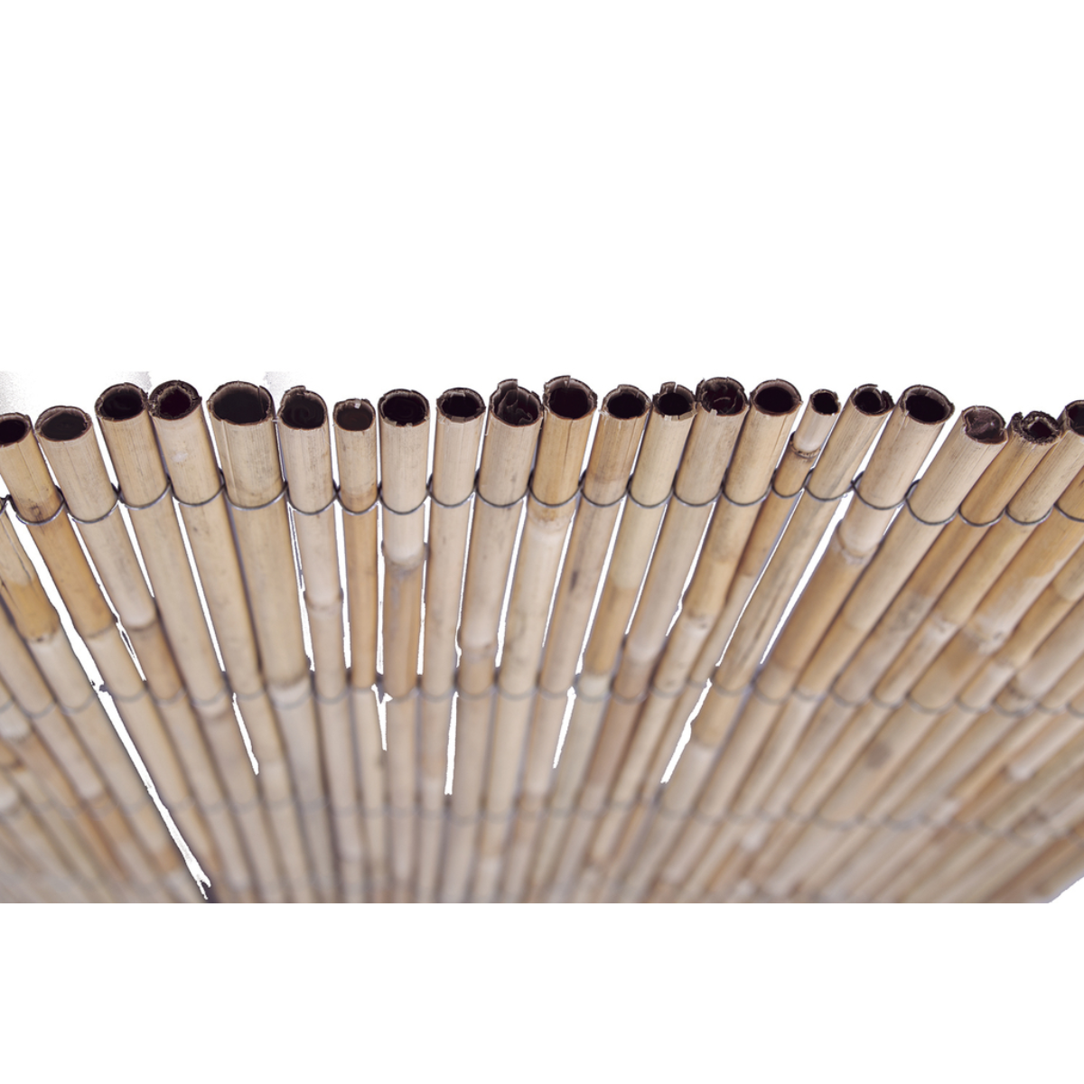Cañizo entero varilla mediana Reedcane Plus Nortene 1x5 m