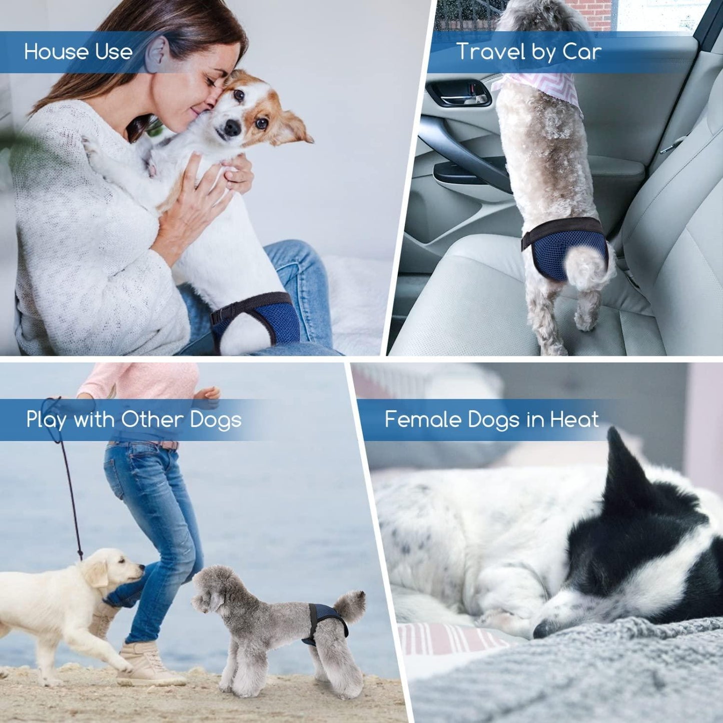 Pañales para Perros, Pantalones Protectores Lavables con 3 Toallas Sanitarias, Calzoncillos Higiénicos Nobleza Talla M