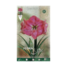 Bublo Amarillis rosa 1 ud