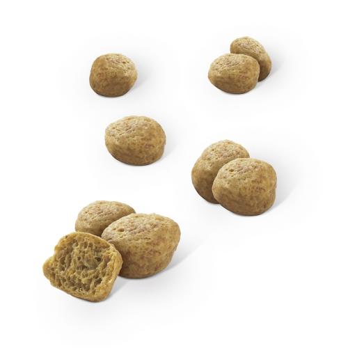 Dentalife Salmón Snack dental para gatos 40 g