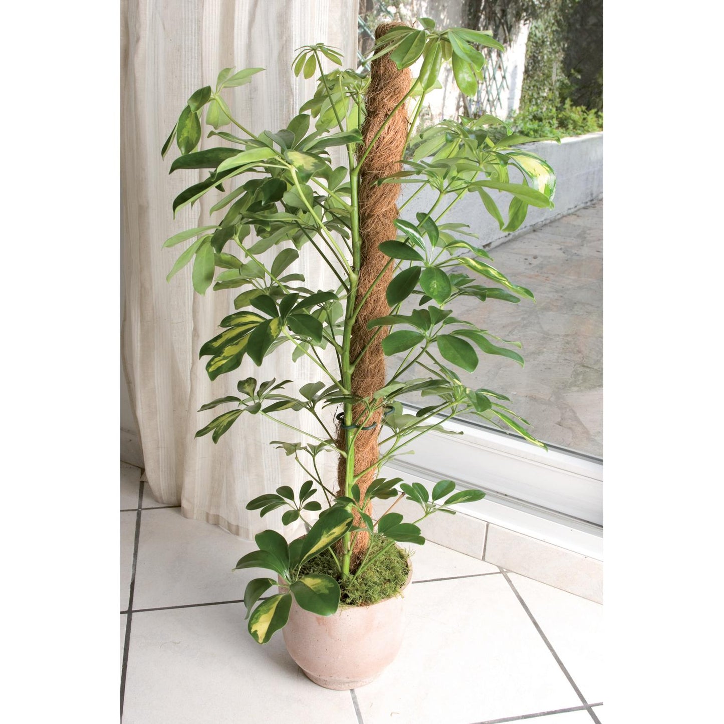 Tutor de coco natural Ø 45 mm Nortene 150 cm