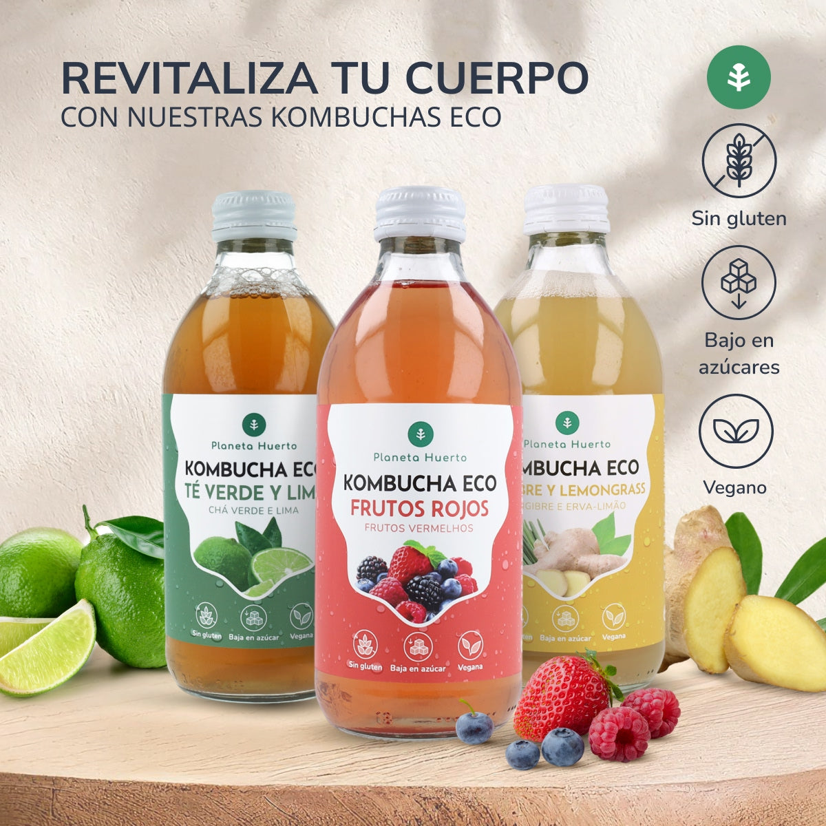 Kombucha ECO Frutos rojos Planeta Huerto 330 ml