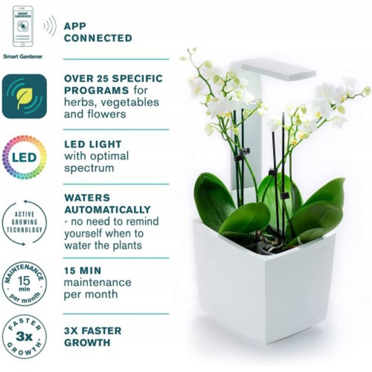 Maceta autocultivo T3 Kitchen Garden 20 x 17,5 cm
