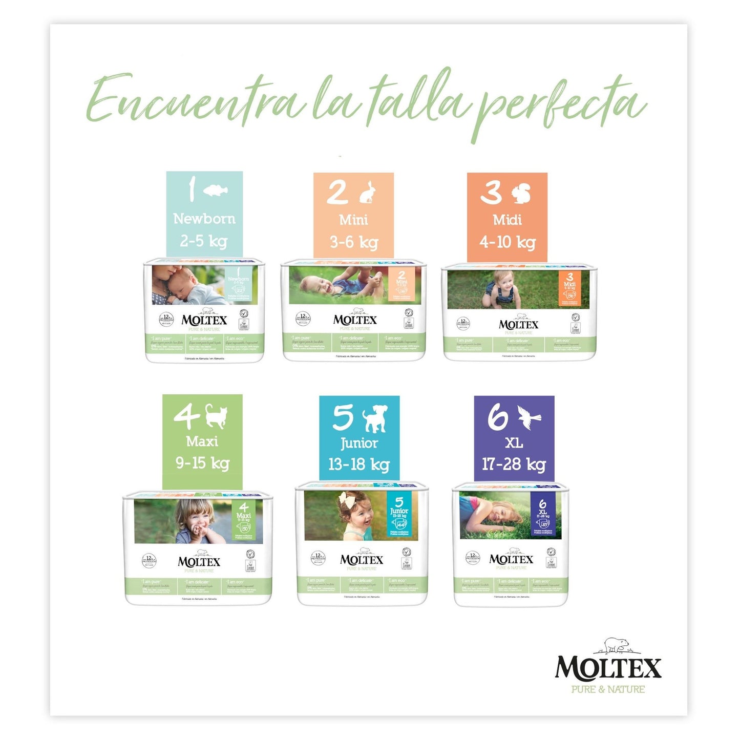 Pack ahorro Pañales T1 (2-5kg) Moltex Pure & Nature, 88 Uds