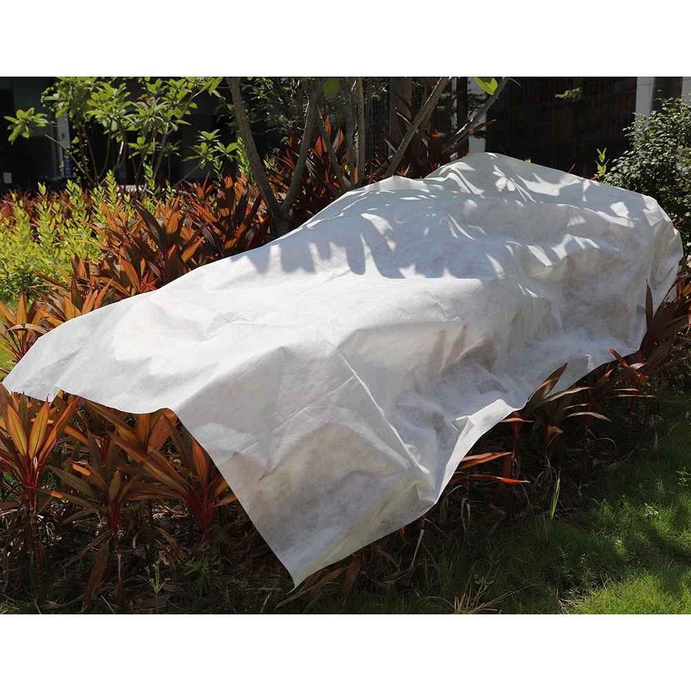 Tela protección de cultivos antiheladas Biotop 2 x 10 m 30 g/m²
