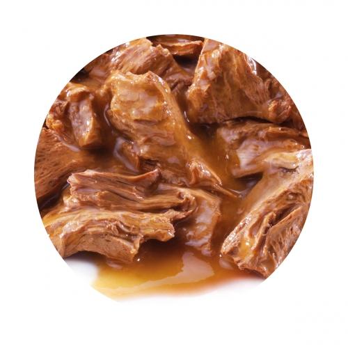 PRO PLAN Gato DELICATE Pavo en Salsa 85 g