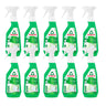 Pack 10x Limpiacristales Frosch