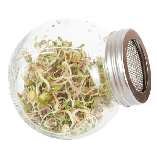 Tarro para germinados Eurogarden