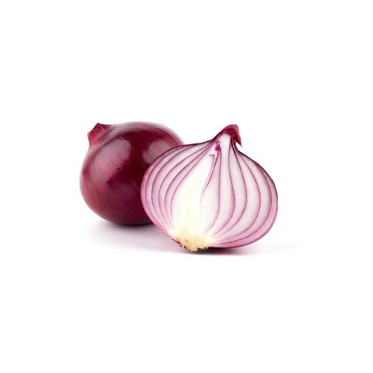 Plantón De Cebolla Roja 6 Uds. Gama Tradicional