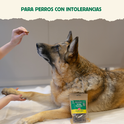 Wild Snacks Pelaje Sano Hipoalergénico Wild Balance