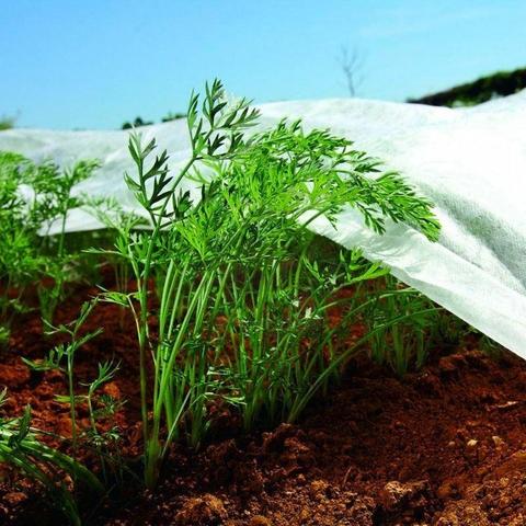 Tela protección de cultivos antiheladas Biotop 1.5 x 5 m 17 gr/m²