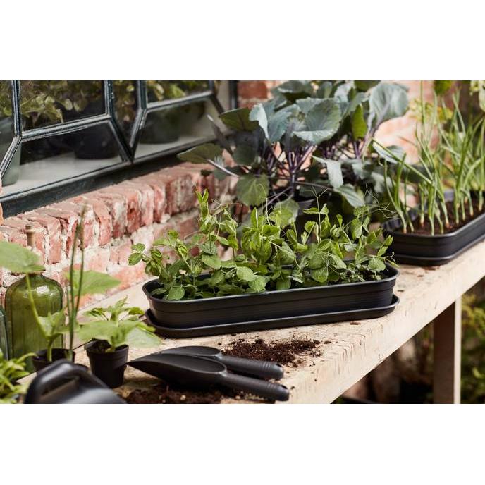 Plato bandeja de cultivo Green basics Elho Antracita L