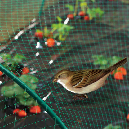 Malla anti pájaros 4 x 12 m Birdnet Nortene