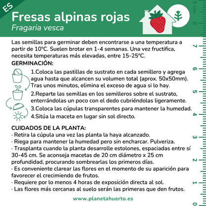 Kit de autocultivo Fresas alpinas rojas Planeta Huerto
