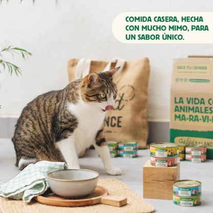 Pack Ragut tradicional de ternera y pollo para gatos 6x80 g Wild Balance