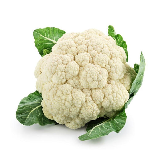 Plantón de Coliflor 6 uds. Gama Tradicional