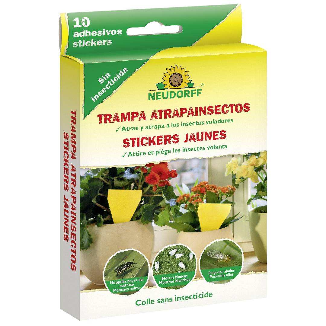 Trampa cromática Atrapainsectos macetas 10 ud Neudorff