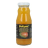 Néctar Mango 200ML Bio Delizum