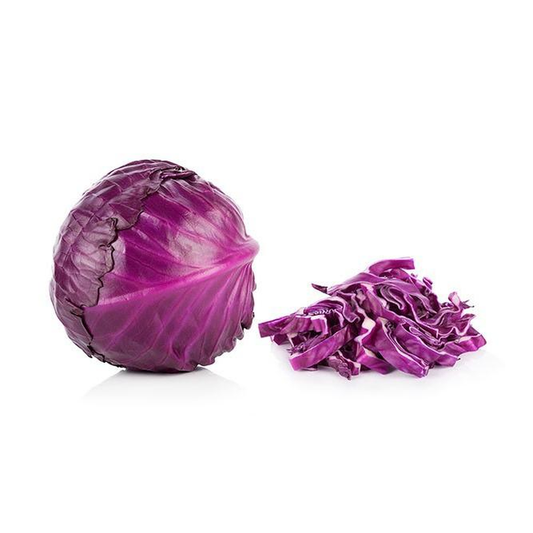 Plantón de Col Lombarda 6 uds. Gama Tradicional