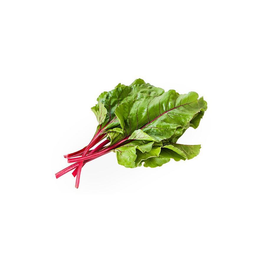 Plantón de Acelga Roja 6 uds. Gama Tradicional