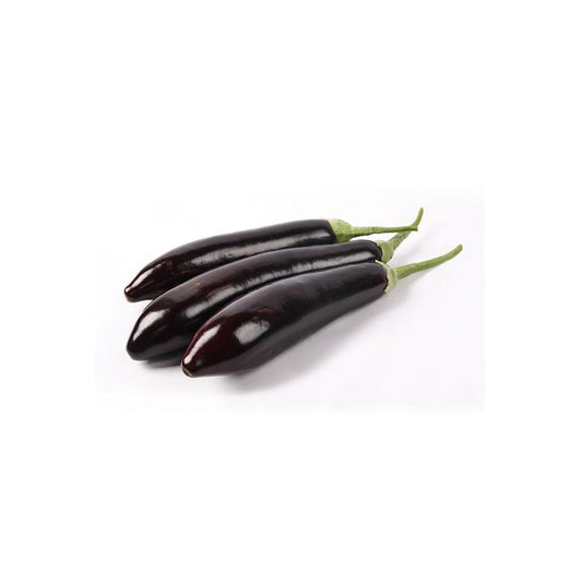 Plantón de Berenjena Negra Alargada 6 uds. Gama Tradicional