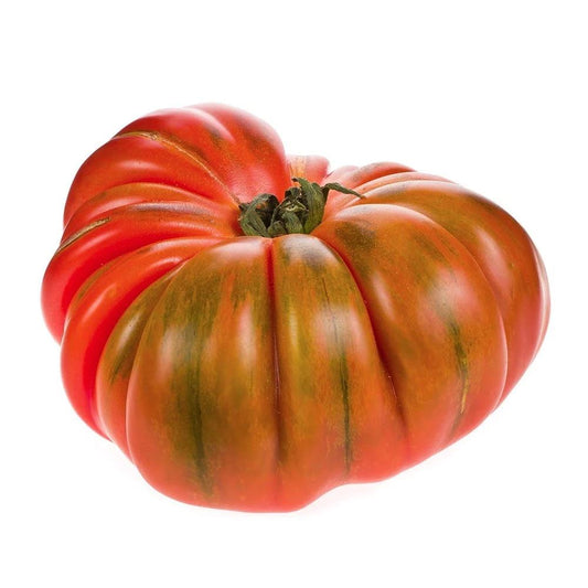 Plantón de Tomate Raf 6 uds. Gama Tradicional