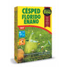 Semillas Césped Florido Enano Fitó 500g