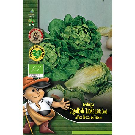 Semillas de Lechuga Cogollitos de Tudela Clemente