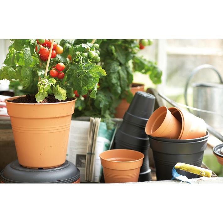 Maceta Green Basics Elho Terra 24 cm