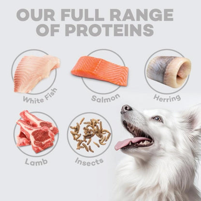 Nature's Protection White Dog Pienso grain free Cordero adulto razas pequeñas 1,5 Kg