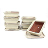 Tiesto bonsáis rectangular 20 cm con plato crema