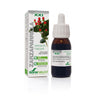 Extracto de Zarzaparrilla Soria natural, 50 ml