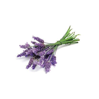 Aceite Esencial Lavanda El Granero, 12 ml