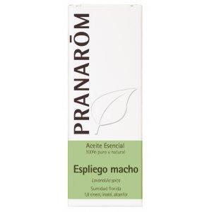 Espliego macho Pranarom 10 ml