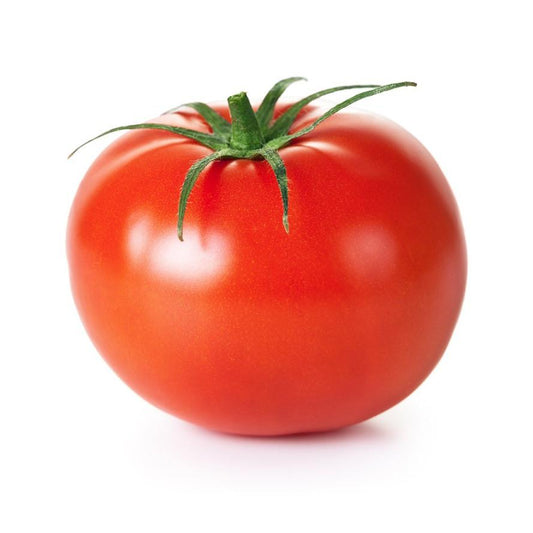 Plantón de Tomate Suelo 6 uds. Gama Tradicional