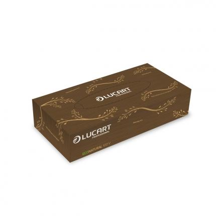 Pañuelos faciales Eco Natural Lucart 100 Uds