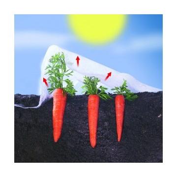 Velo de crecimiento Climatex Nortene 2 x 10 m